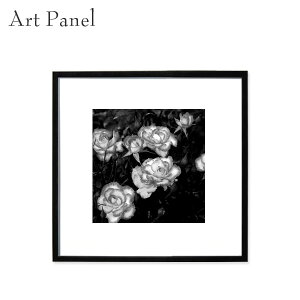 A[g KN  t[pl  _ `TCY CeA Ǐ Ǌ|  X  Z  傫 t[tHg G |X^[