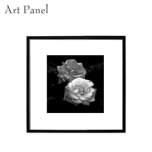 A[gpl mN ` KN  ʐ^ t[   Z    fUC _ EH[fR Ǌ| 傫 G |X^[