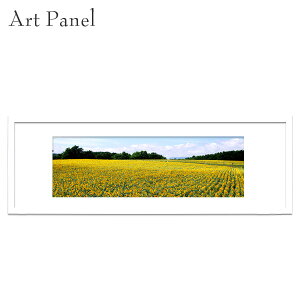 A[gpl  Ђ܂  t[t t[ G CeA OtBbNA[g ʐ^ A[g|X^[ p |p