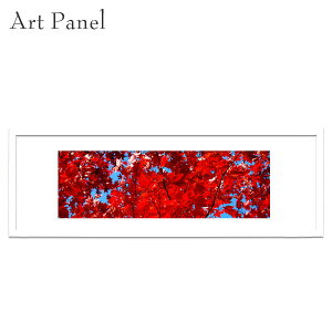  Ǌ| gt ʐ^ IWi OtBbNA[g i fUC fBXvC   ԃfUC