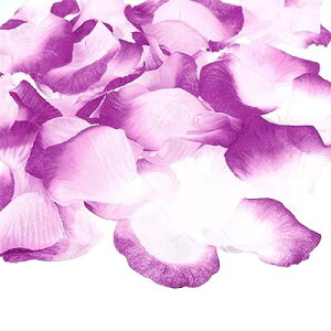 PATIKIL lHoԂт 1200 tFCNt[ VNԂт pi LO  p[eB[Cxgp p[v zCg