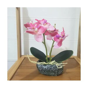 lHϗtA Ӓ  G}H ^ D^̔A ΔCeA tFCN VNt[ Ӓ Vzj JXjMtgɍœK v[g hV̓ (Δ, .)