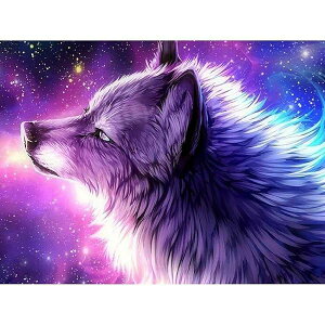 5D_ChUCNA[gh WF̓T̉̃sN̘T_ChyCeBO Sʓ\t^UCNr[YA[gGDIY킢肨A[gA[gLbg