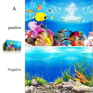 ق̔wi 3D }fR[V XebJ[ & |X^[ ObY fR[V Ɛق̃ANZT[ Aquascape
