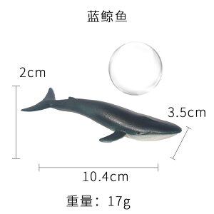 1 ZbgTt[eBOCmكI[ig Aquascape TuNtg