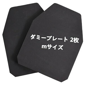 _~[v[g 2 30x24x2cm v[gLA ToQ[p ^NeBJxXg EVA tH[ A[}[ v[g mTCY