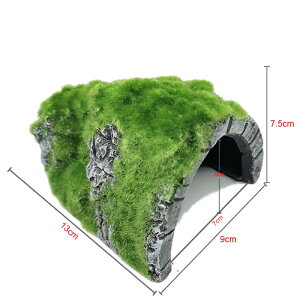 Vق̑葕lH঒ރeEJANZT[