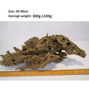 ̑VREؐ؏萅ق̑hJGrكANZT[