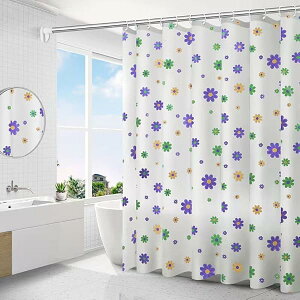 V[J[e hhJrH J[eOt V[[pJ[e J[e oX[ oX^u Ot C ̖ډB (̉, 120×180cm)