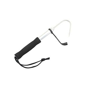 ނpMt Lk tBbVOc[ XeX y ނ tBbVMt nhMt ނ Cނ Xނ ނ 쐶ނɓKĂ܂ 30cmLk60cm