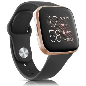 oh Rp`u Fitbit Versa 2 oh Versa oh Versa Lite xg, _炩VR xg  jp (ubN)
