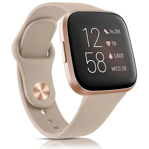 oh Rp`u Fitbit Versa 2 oh Versa oh Versa Lite xg, _炩VR xg  jp (~NeB[)