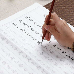 ʎSo ʌopZbg 20 Ȃ菑 {t 傫TCY