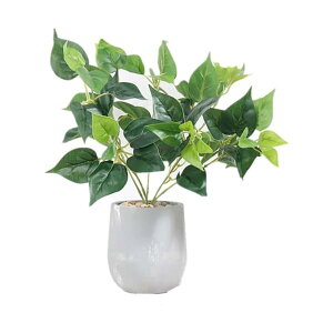 lHϗtA XeA15cm×s15cm×38cmAtFCNO[AG}dlA픫tAȒPbAsv (|gX)