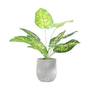 lHϗtA XeA15cm×s15cm×42cmAtFCNO[AG}dlA픫tAȒPbAsv (Ύ)