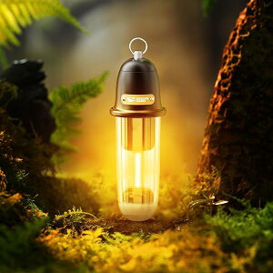 LED^, y2025VoE@\Lv^z LED^ dF F 5Ɩ[h IPX4 hho d Type-C[d ^ ^ѕ֗ AEghAp Lvp oR ނ 