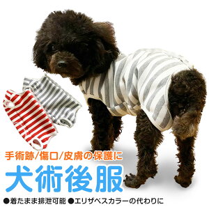 yGUxXJ[̋Ȏqցz p㕞 p p Lp p GUxXJ[ p㒅 ybgp ^ ی 畆ی  Ckp lRp hbOEGA ̕ ی앞  