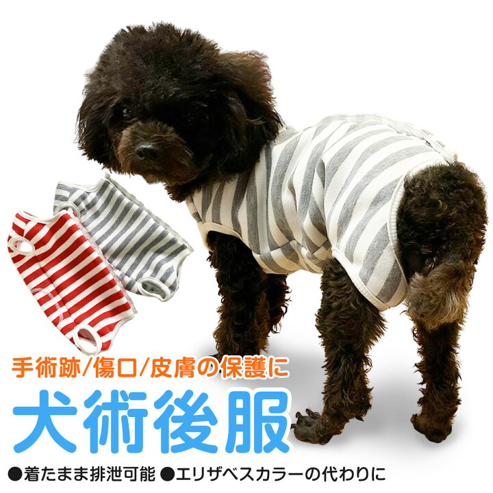 楽天市場 エリザベスカラーの苦手な子へ 術後服 手術服 犬用 猫用 手術後 エリザベスカラー 術後着 ペット用 小型犬 傷口保護 皮膚保護 送料無料 イヌ用 ネコ用 ドッグウエア 犬の服 保護服 お腹 避妊 後ろ開き ボーダー 簡単 かわいい カワイイ 傷舐め防止