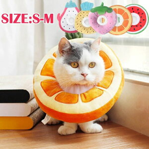 킢 ʕ  rߖh~ PApi GUxXJ[ ybgpi GUxXJ[ M S \tg Em Lp p 