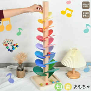 yԌ!4980~3780~zmߋ ؐ C{[~[WbNc[ ߋؐc[ y ؐ̂ JiJ[{[10tj qǂ q xr[ 