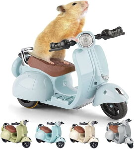 nX^[   doCN 360x] Cg y t I[goĈ ȃybgp ETM bg  pߋ doCN ʔ ߋ XgX ^s