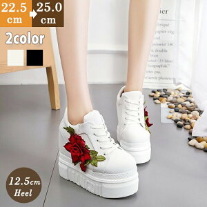  Cq[Xj[J[ o V[Y Xj[J[ _bhXj[J[ V[Y C Xj[J[N[i[ Xj[J[u[c 8/Xj[J[  12.5cmq[ KN hJ [XA