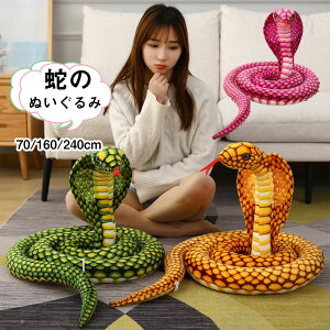  wr ʂ  Ru  70cm/160cm/240cm AȎ nEB RXv hbL  u wrObY  X CeA v[g a 