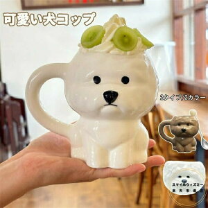 R[q[Rbv 킢H q H k gуR[q[Rbv  Jbv Rbv  uEyAZbg av[g ObY G Mtg 蕨 zj