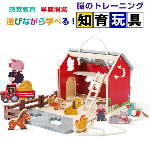 y2025ŐVoIzeb\[  m炨 q ؐ pY{bNX ^͂ `킹 ͂ߍ eb\[ ؂̂ ςݖ ^͂ `F FF  wP