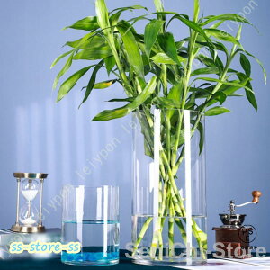 ^t[x[X 40cm t[x[X KX ԕr Vv  NA Ԋ  傫 Ԃт OX  k 傫 ^ ~ CeA