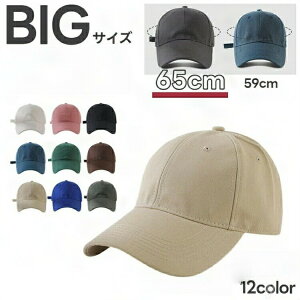 Ăh~ 悯 O΍ UV ʋC 싅X Vv rbO 傫 Xq fB[X Y 65cm 傫TCY Lbv