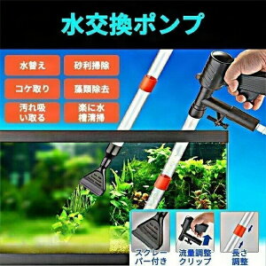  |v 蓮 l ւ | RP N[i[ ȒP |ԂZk 