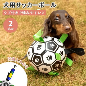 pTbJ[{[ p   I` Ct p {[ f^PA ybgߋ ߋ XgXU ybg  V d  ybg ybgpi 