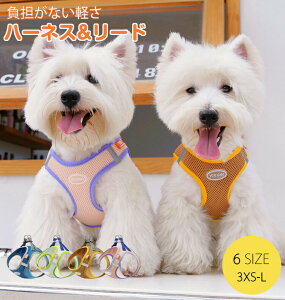  n[lX Ȃ ^ p   ȒP  y S  Ȃ X^n[lX ɂ  bVn[lX ʋC xXg^n[lX SȂ \tgx