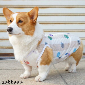  ĕ ^ ^ bV hbOEFA ^Ngbv   ^N ̕ j̎q  킢  ₷  t  ^ ^