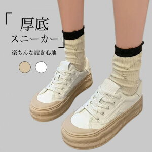 Xj[J[ V[Y X|[c Xj[J[ tbgV[Y  TCY Xj[J[N[i[ Xj[J[u[c PUXj[J[ ~hJbg [XAbv 4cm ~ Itz