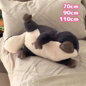 A ʂ xbh NbV  VOxbh xbht[ [xbh ʂ݃|[` JmnV ̂͂  Aj} {  O Q ԓp 