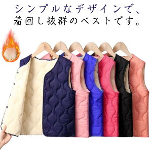 WPbg  {AxXg AE^[ N h g WPbgEAE^[ H~ ~ WPbgz_[  Ȃ ۉ xXg H ӂӂxXg 㒅 HD ʉ ʊw i 