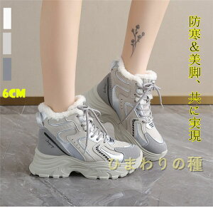 6cmhXj[J[ fB[X EC^[V[Y hV[Y fB[X  Xm[V[Y N ~ JWAV[Y {A NуXj[J[@hC h ۉ gC y 