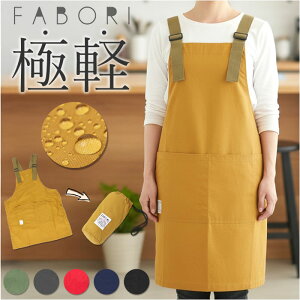 fabori Gv ʔ [NGv Lb`Gv  ig dp Ɨp KB Ԃ邾 ₷ ₷ H^ 傫 n Mtg 蕨 l Vv JWA I