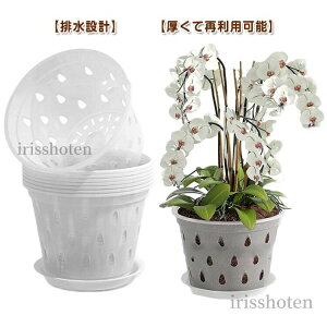  gCt Aؔ a12.5cm  v^[ a15cm a17.2cm Ӓ ̔ A m a11cm Aؔ