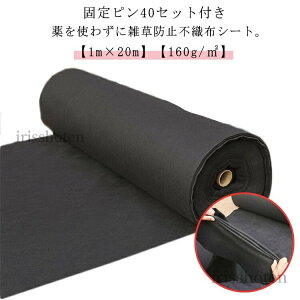 yzx160G Œs40Zbgt  UVܓ e x sDz Gh~ lHŉ [  悯 ʋC V[g