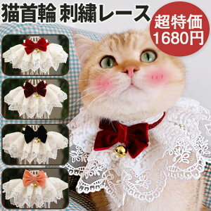 ybgo_i L 킢 a{ M hJ[XLp։ yʃlRpтXJ[t ybgւ̃MtgՂa L ꒅ j ybgpAN