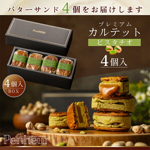 15/ ỹLo^[ThzsX^`I4 _Penheur(vm[) Ăَq Ⓚ XC[c lC fU[g  o^[Th mَq Mtg v[g  IV a