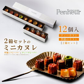 【16日1時59分まで3,980円→3,582円】 71/ 【ティーカヌレ＆季節のカヌレ 2箱セット】＜11種12個＞神戸Penheur（プノール）焼き菓子 冷凍 スイーツ デザート カヌレ 洋菓子 ギフト カヌレの宝石箱 プレゼント 誕生日 ミニカヌレ 贈り物 御祝 送料無料 バレンタイン ホワイト