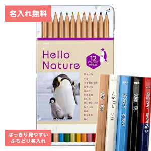 [   ]  FM F҂ 12F Zp n[lC`[ ʓ REeCyM CB-KHNEP0312C g{M Tombow