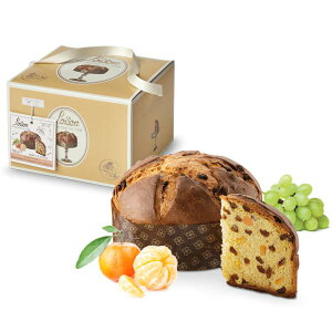 yN[|zC]y plbg[lE}_[m z750Oy2025NX}XE\zC^Aplg[lEph[C^ÃNX}XP[L