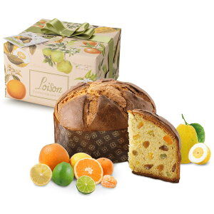 yN[|zC]y plbg[lE5̊kz500Oy2025NX}XE\zC^Aplg[lEph[C^ÃNX}XP[L