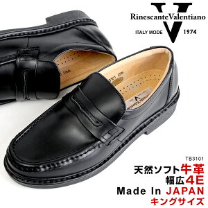 yziVeo`m Y rWlX V[Y ₷ ɂ RC [t@[ LOTCY {v h  R hL y L 4E 3101