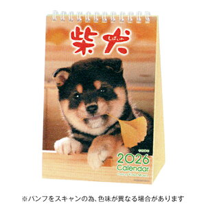 yizANeBuR[|[V 2026N J_[ XcėY ܂邲ƎČ 26ACL-543